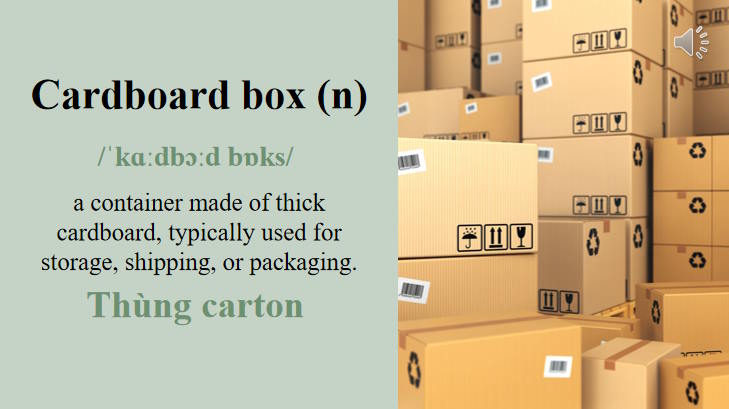 Giáo án Tiếng Anh 12 Unit 3: Reading