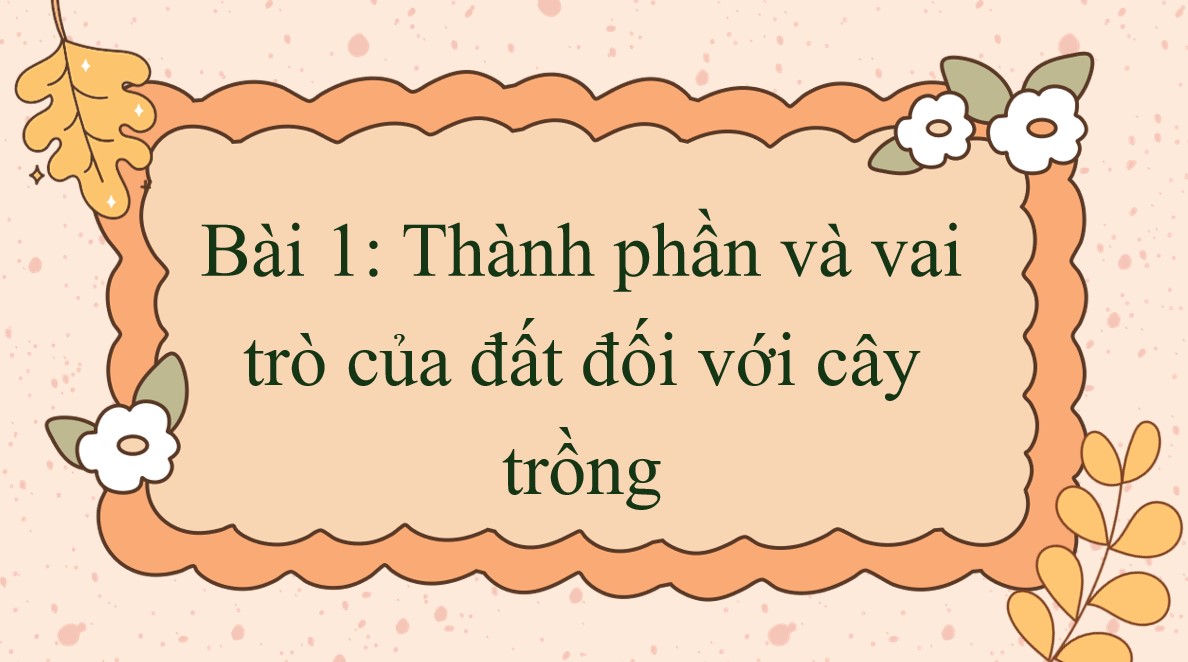 tro choi khoa hoc 5 bai 1 1*544970