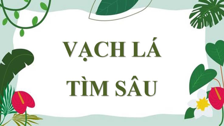 PowerPoint trò chơi khởi động Giáo dục công dân 7 Bài 3