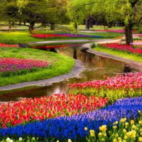 PowerPoint Tiếng Việt 3 Bài 3: Nghe - viết Lễ hội hoa nước Ý