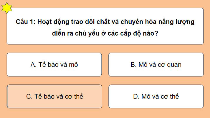 PowerPoint Trò chơi khởi động Khoa học tự nhiên 7