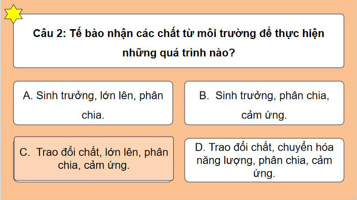 PowerPoint Trò chơi khởi động Khoa học tự nhiên 7