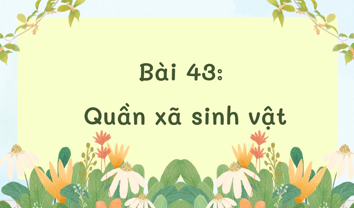 tro choi khtn8 b43*546202