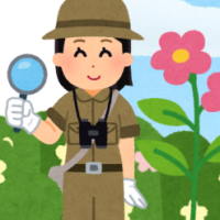 Video AI khởi động Tự nhiên và xã hội 2