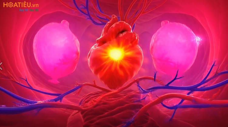 Video AI khởi động Khoa học tự nhiên 7 Bài 42