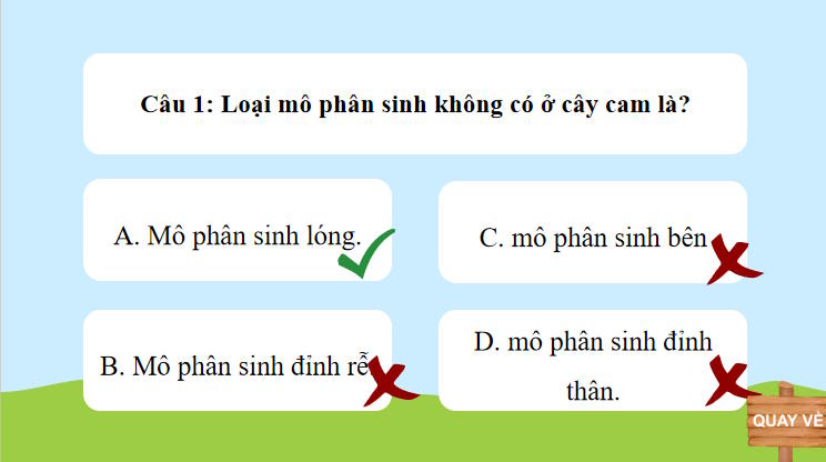 Trò chơi khởi động KHTN 7 Bài 36