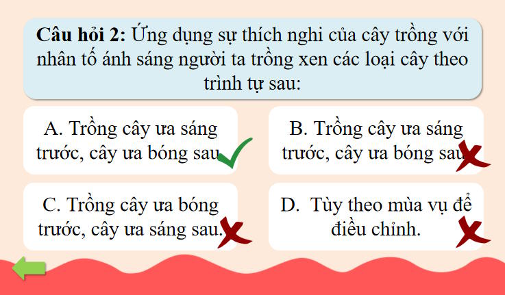 Trò chơi khởi động KHTN 7 Bài 37