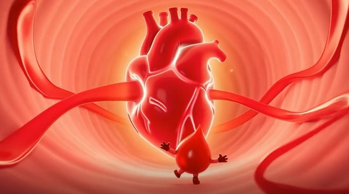 Tự nhiên và xã hội 3 Bài 20