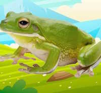 Giáo án mầm non: Bé biết gì về ếch con