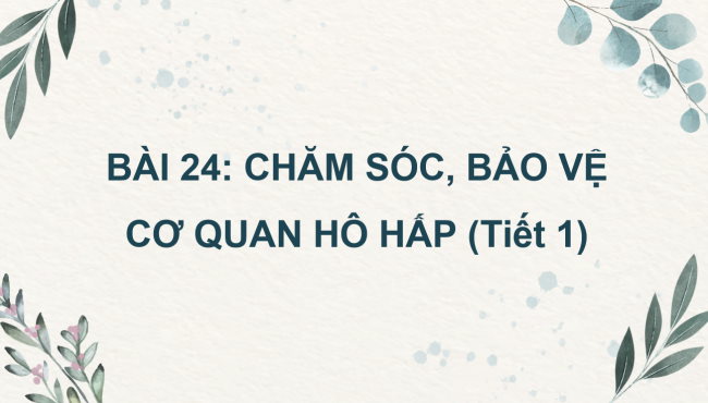 PowerPoint Tự nhiên và xã hội 2 Bài 24: Chăm sóc, bảo vệ cơ quan hô hấp