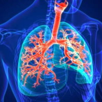 PowerPoint Tự nhiên và xã hội 2 Bài 24: Chăm sóc, bảo vệ cơ quan hô hấp