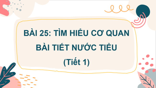 PowerPoint Tự nhiên và xã hội 2 Bài 25: Tìm hiểu cơ quan bài tiết nước tiểu