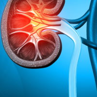 PowerPoint Tự nhiên và xã hội 2 Bài 25: Tìm hiểu cơ quan bài tiết nước tiểu