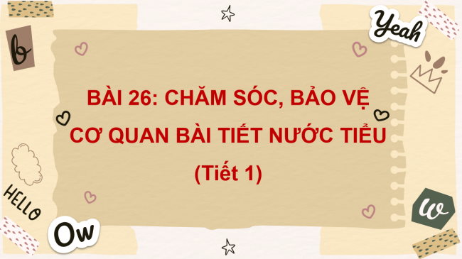 PowerPoint Tự nhiên và xã hội 2 Bài 26: Chăm sóc, bảo vệ cơ quan bài tiết nước tiểu