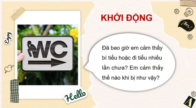 PowerPoint Tự nhiên và xã hội 2 Bài 26: Chăm sóc, bảo vệ cơ quan bài tiết nước tiểu