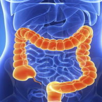 PowerPoint Tự nhiên và xã hội 3 Bài 15: Cơ quan tiêu hóa