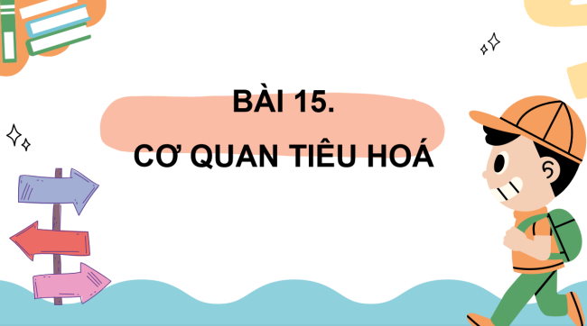 PowerPoint Tự nhiên và xã hội 3 Bài 15: Cơ quan tiêu hóa