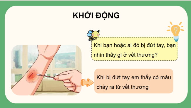 PowerPoint Tự nhiên và xã hội 3 Bài 16: Cơ quan tuần hoàn