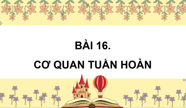 PowerPoint Tự nhiên và xã hội 3 Bài 16: Cơ quan tuần hoàn