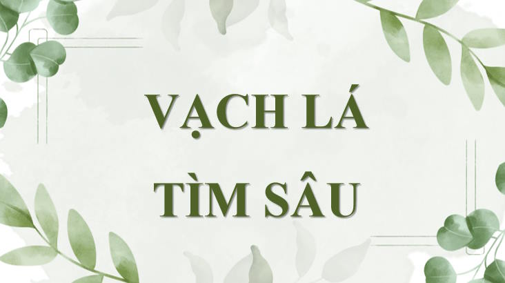 Trò chơi khởi động Toán 8 Bài 29