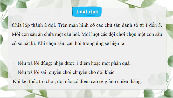 Trò chơi khởi động Toán 8 Bài 29