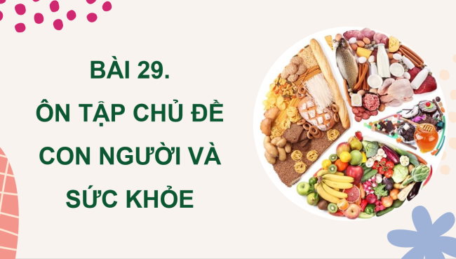 PowerPoint Khoa học 4 Bài 29: Ôn tập chủ đề Con người và sức khỏe