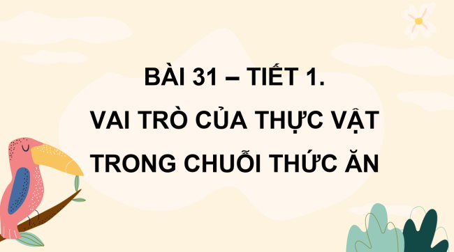 PowerPoint Khoa học 4 Bài 31: Vai trò của thực vật trong chuỗi thức ăn