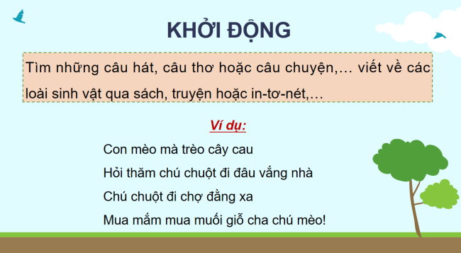 PowerPoint Khoa học 4 Bài 32: Ôn tập chủ đề Sinh vật và môi trường