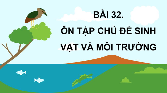 PowerPoint Khoa học 4 Bài 32: Ôn tập chủ đề Sinh vật và môi trường