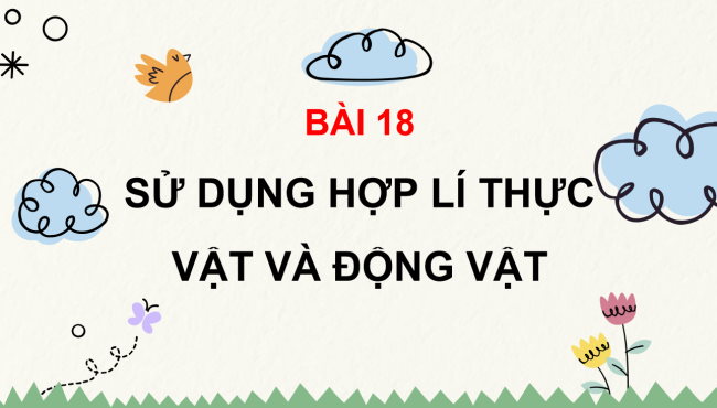 PowerPoint Tự nhiên và xã hội 3 Bài 18: Sử dụng hợp lý thực vật và động vật