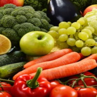 PowerPoint Tự nhiên và xã hội 3 Bài 18: Sử dụng hợp lý thực vật và động vật