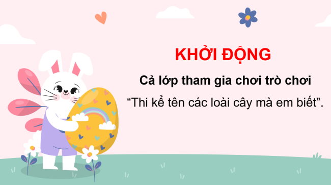 PowerPoint Tự nhiên và xã hội 3 Bài 19: Ôn tập chủ đề thực vật và động vật