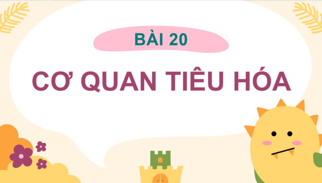 PowerPoint Tự nhiên và xã hội 3 Bài 20: Cơ quan tiêu hóa