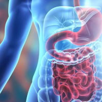 PowerPoint Tự nhiên và xã hội 3 Bài 20: Cơ quan tiêu hóa