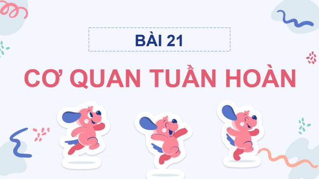 PowerPoint Tự nhiên và xã hội 3 Bài 21: Cơ quan tuần hoàn