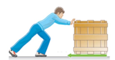 Khoa học tự nhiên 6