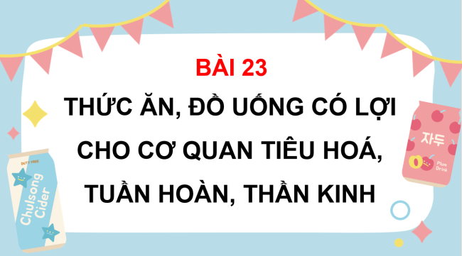 PowerPoint Tự nhiên và xã hội 3 Bài 23