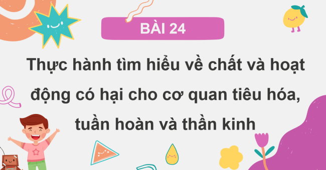 PowerPoint Tự nhiên và xã hội 3 Bài 24