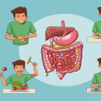 PowerPoint Tự nhiên và xã hội 3 Bài 24: Thực hành tìm hiểu chất và hoạt động có hại cho cơ quan tiêu hóa, tuần hoàn, thần kinh