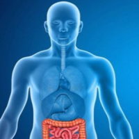 PowerPoint Tự nhiên và xã hội 3 Bài 25: Ôn tập chủ đề con người và sức khỏe