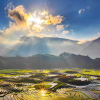 PowerPoint Đạo đức 3 Bài 12: Việt Nam tươi đẹp