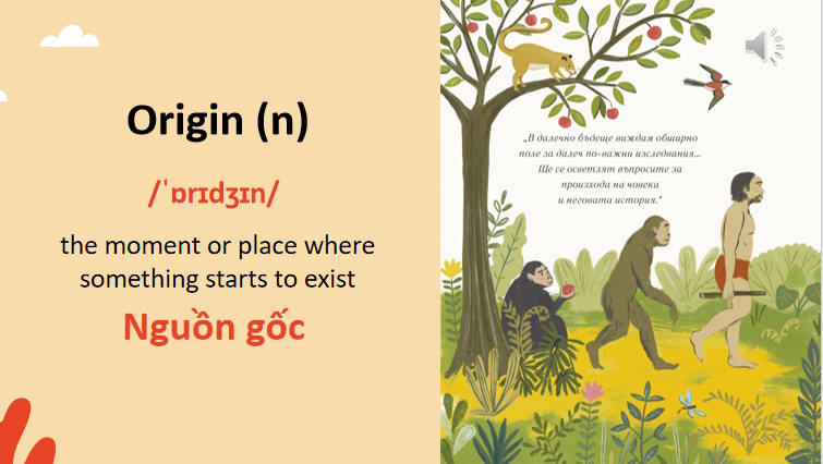 Giáo án Tiếng Anh 12 Unit 2 Language