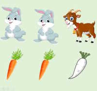 Giáo án mầm non: Đếm trên đối tượng và nhận biết số lượng trong phạm vi 4, nhận biết chữ số 4