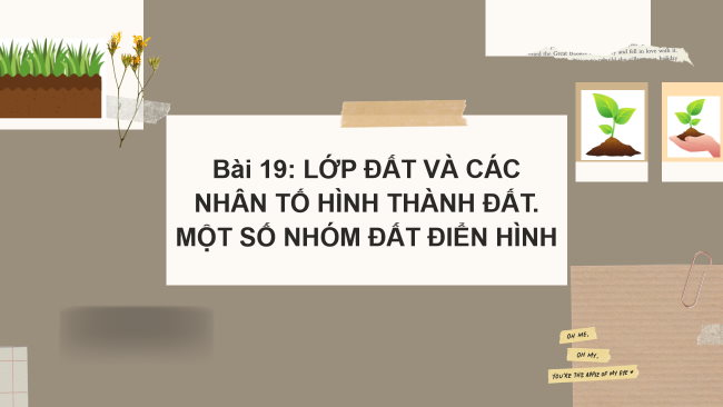 PowerPoint Địa lí 6 Bài 19: Lớp đất và các nhân tố hình thành đất. Một số nhóm đất điển hình