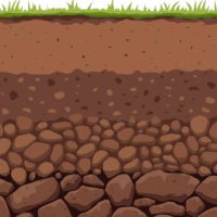 PowerPoint Địa lí 6 Bài 19: Lớp đất và các nhân tố hình thành đất. Một số nhóm đất điển hình