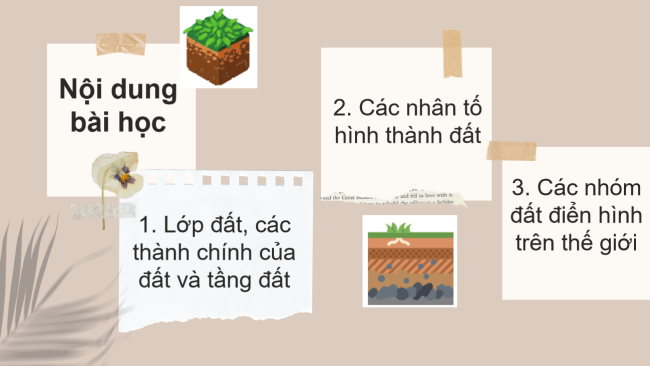 PowerPoint Địa lí 6 Bài 19: Lớp đất và các nhân tố hình thành đất. Một số nhóm đất điển hình