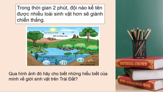 PowerPoint Địa lí 6 Bài 20: Sinh vật và sự phân bố các đới thiên nhiên. Rừng nhiệt đới