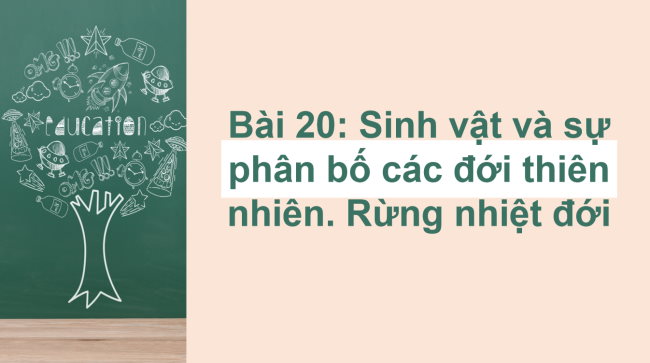 PowerPoint Địa lí 6 Bài 20: Sinh vật và sự phân bố các đới thiên nhiên. Rừng nhiệt đới