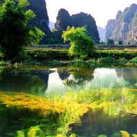 PowerPoint Địa lí 6 Bài 21: Thực hành tìm hiểu môi trường tự nhiên qua tài liệu và tham quan địa phương