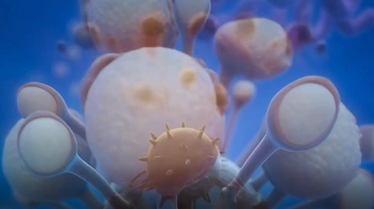 Video AI mở đầu Sinh học lớp 10 Bài 20